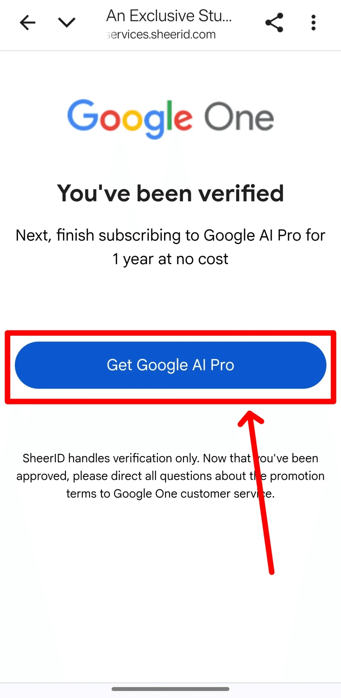 Gemini AI Pro